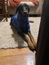 Kaiser - Photo 5