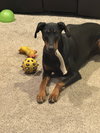 Kaiser - Photo 1