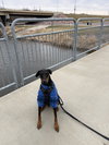 Kaiser - Photo 2