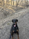 Kaiser - Photo 8