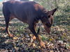 Venus - Photo 5