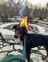 Chance - Photo 9