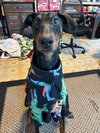 Chance - Photo 3