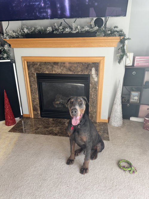 Roscoe photo 8