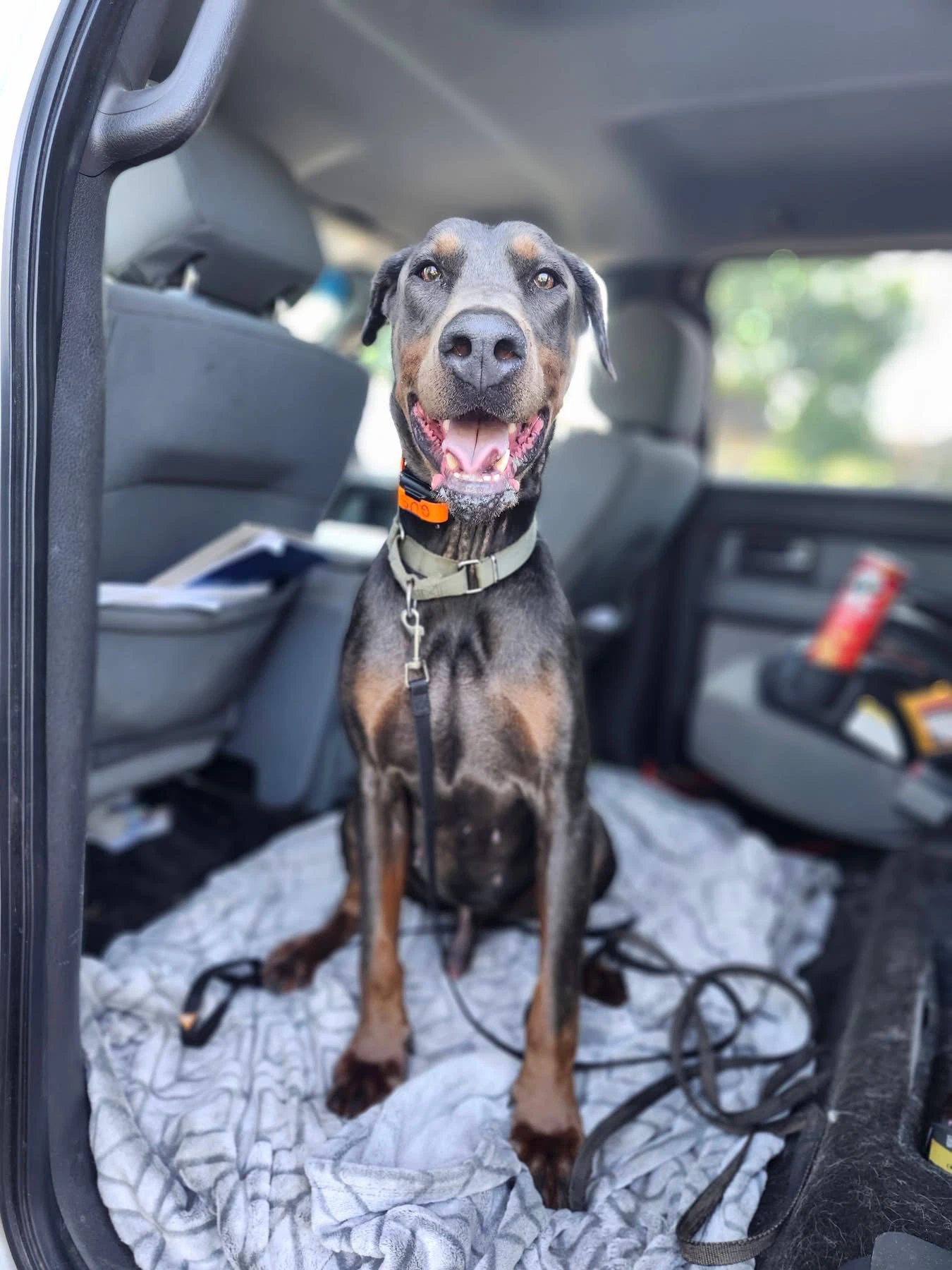 Roscoe