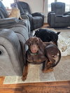 Briggs - Photo 3