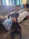 Heidi - Photo 4