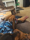 Heidi - Photo 5