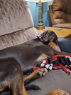 Heidi - Photo 6