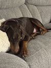 Heidi - Photo 3