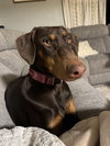 Heidi - Photo 2