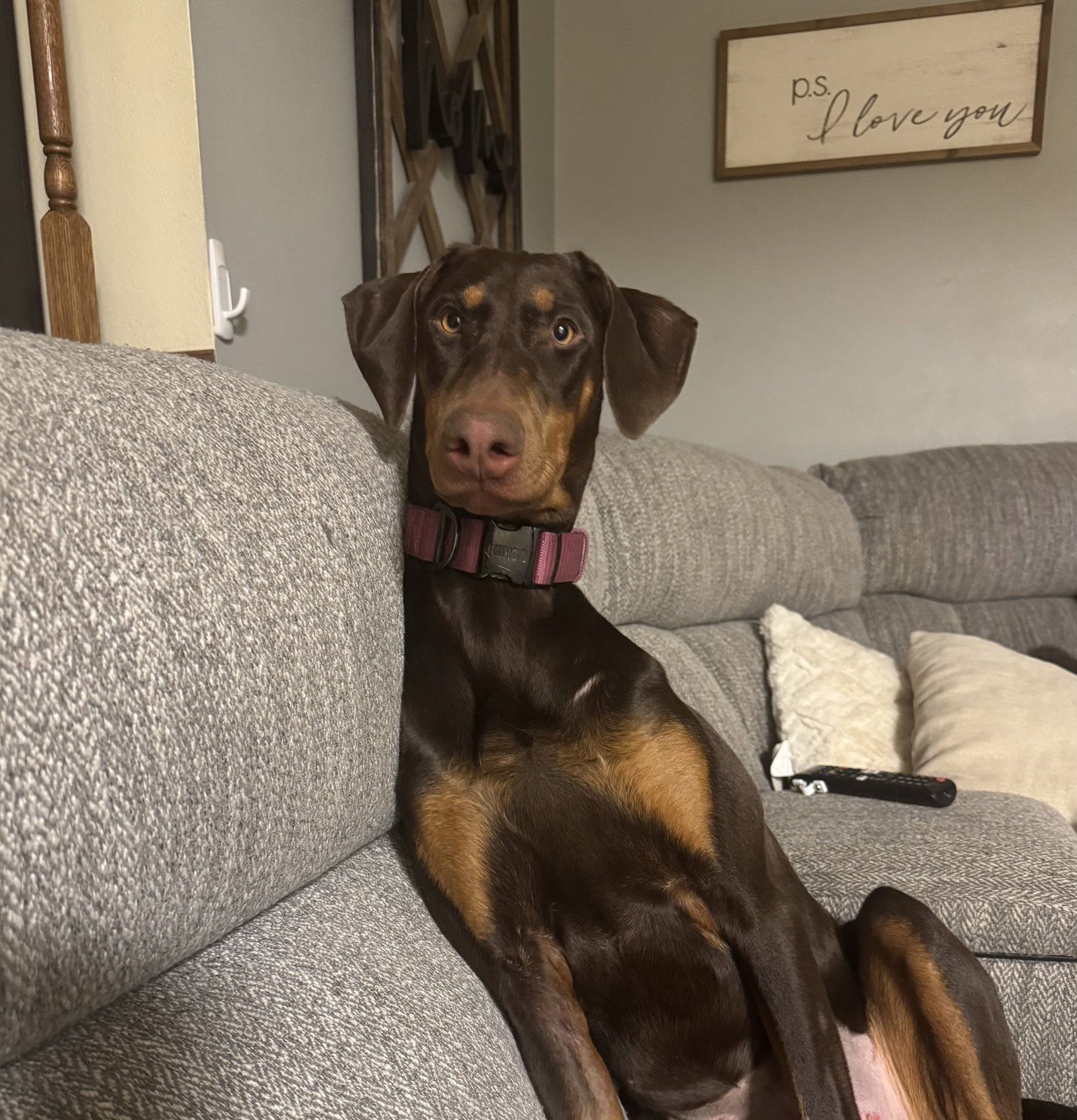 Heidi Image