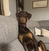 Heidi - Photo 1