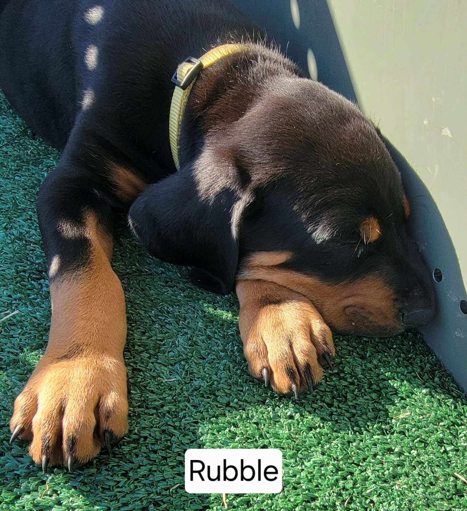 Rubble