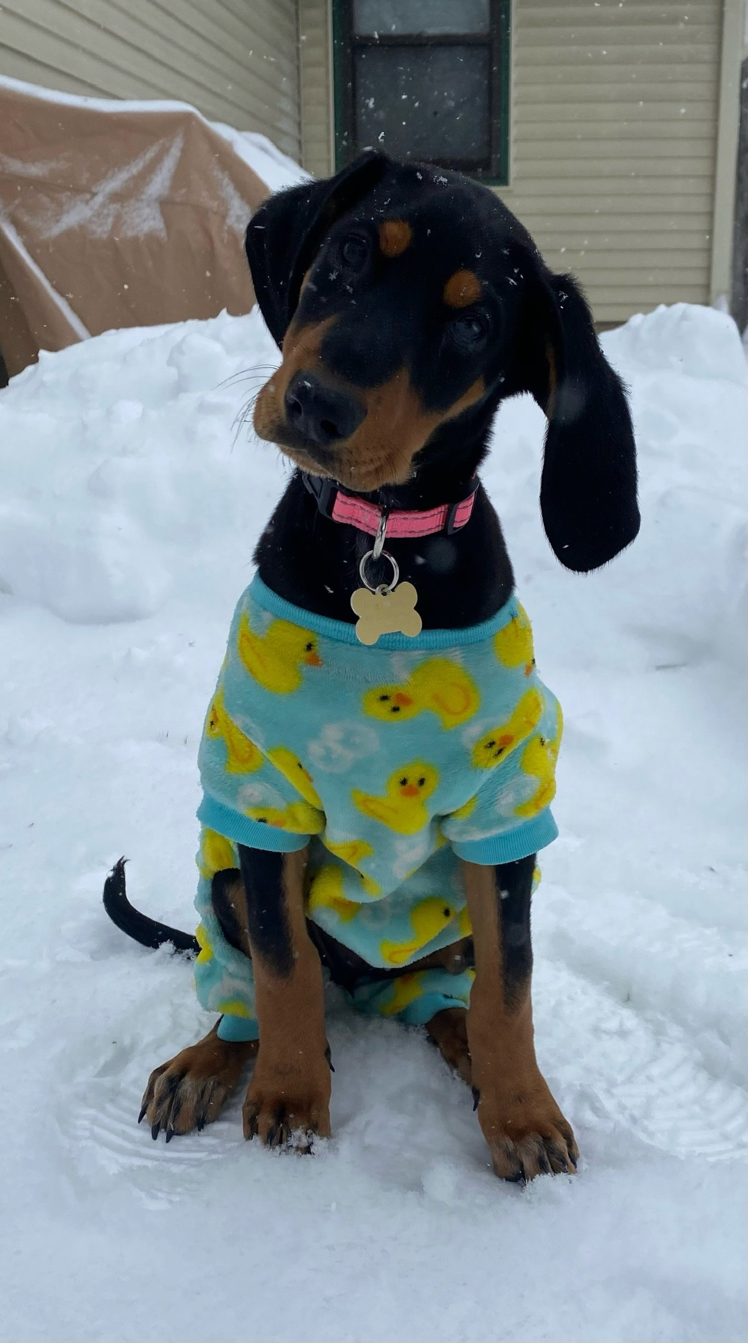 Skye