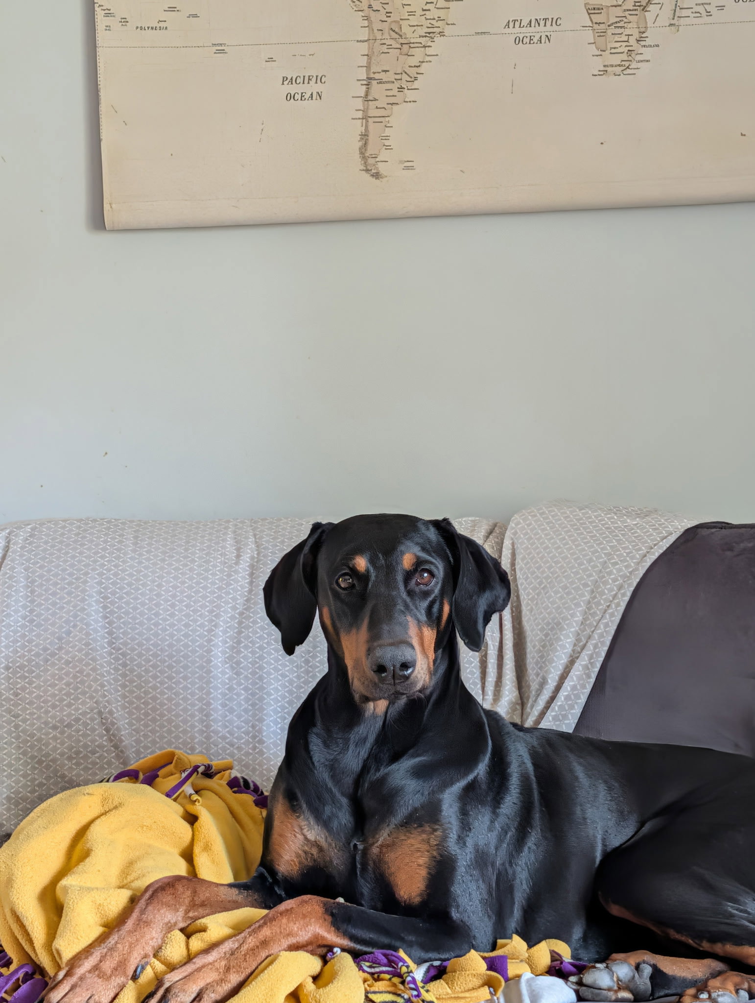 DeeDee