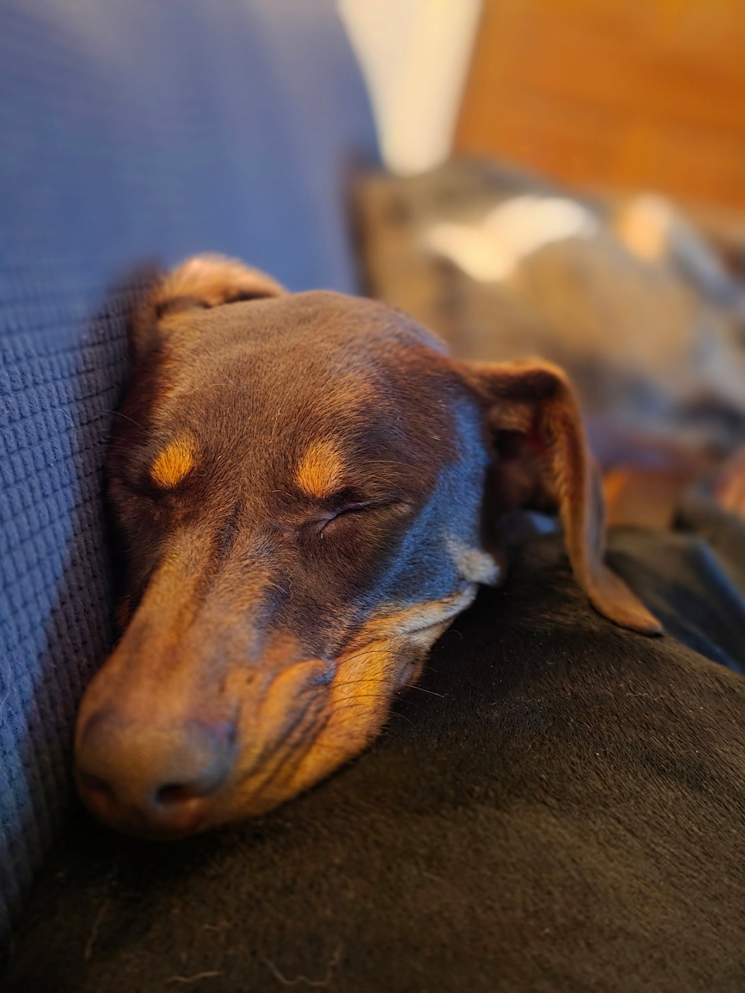Lena