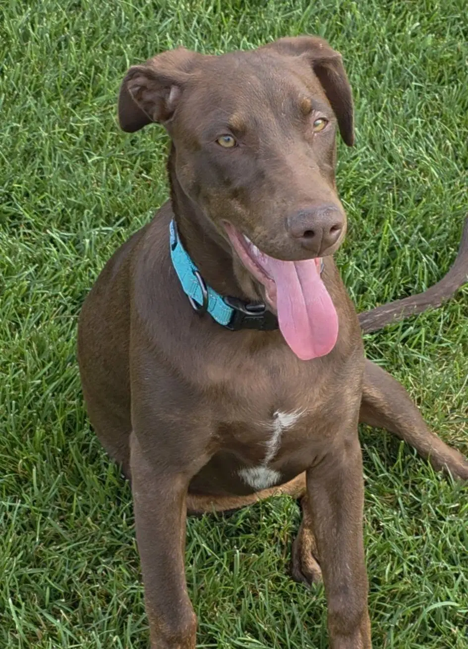 Sally image 1