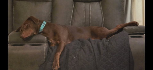 Sally photo 1