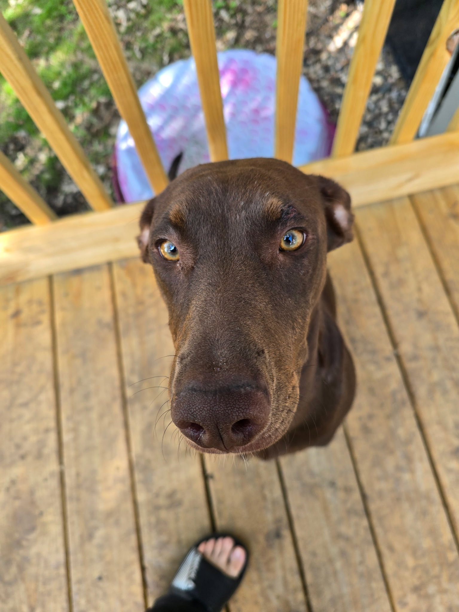 Sally, photo 7