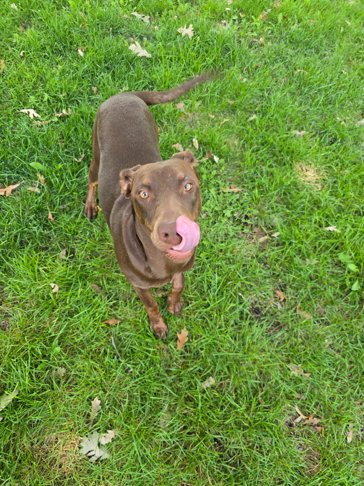 Sally, photo 8