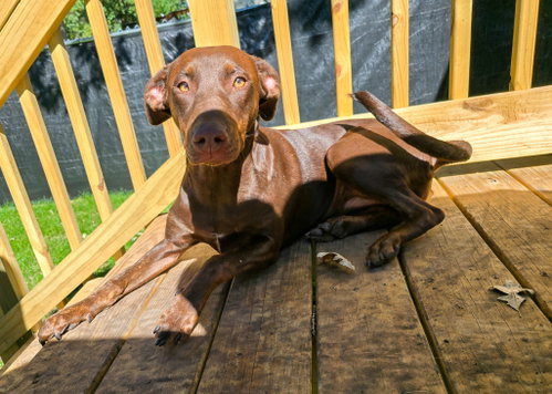 Photo 6 of Sally