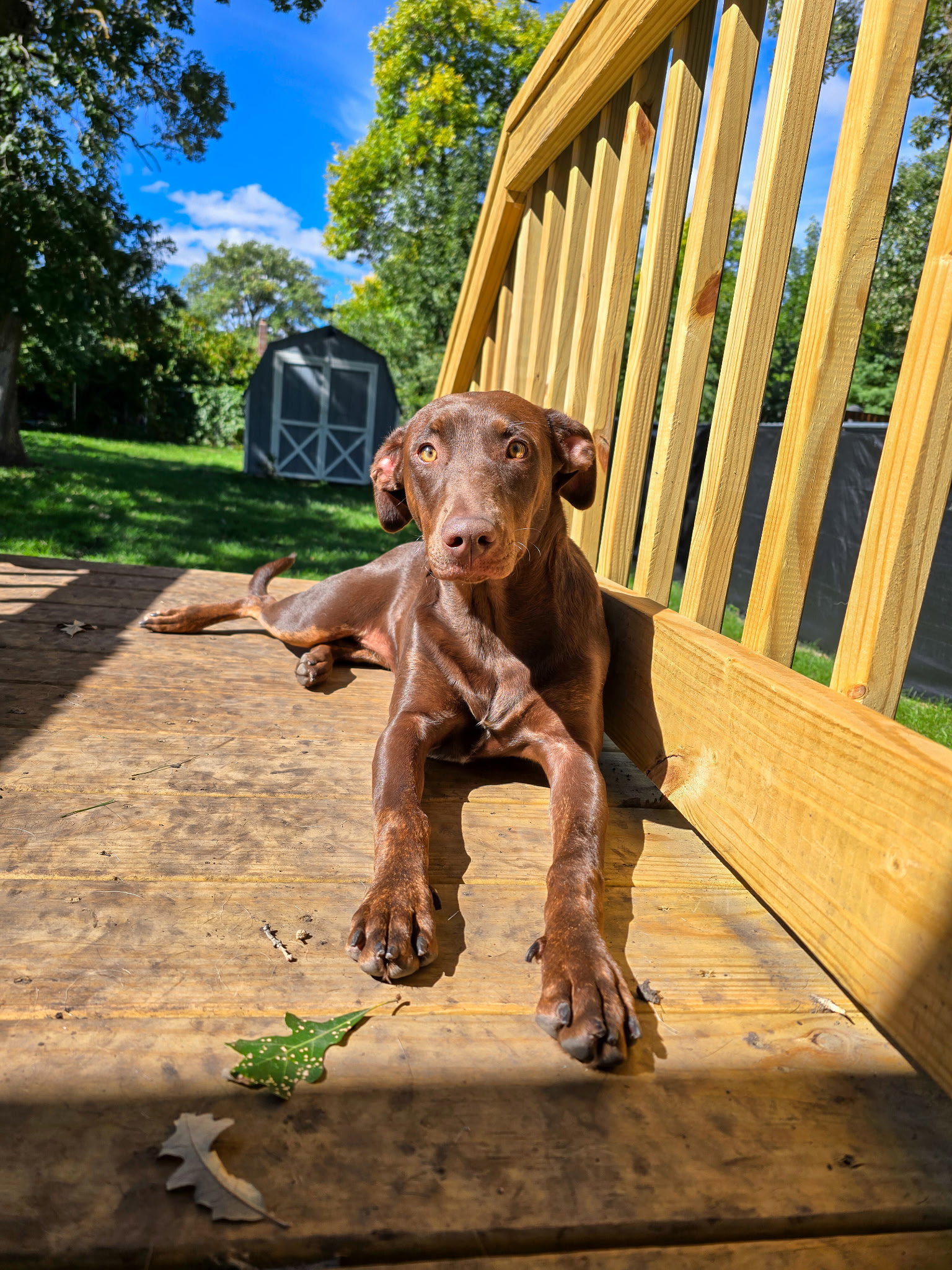 Sally, photo 2