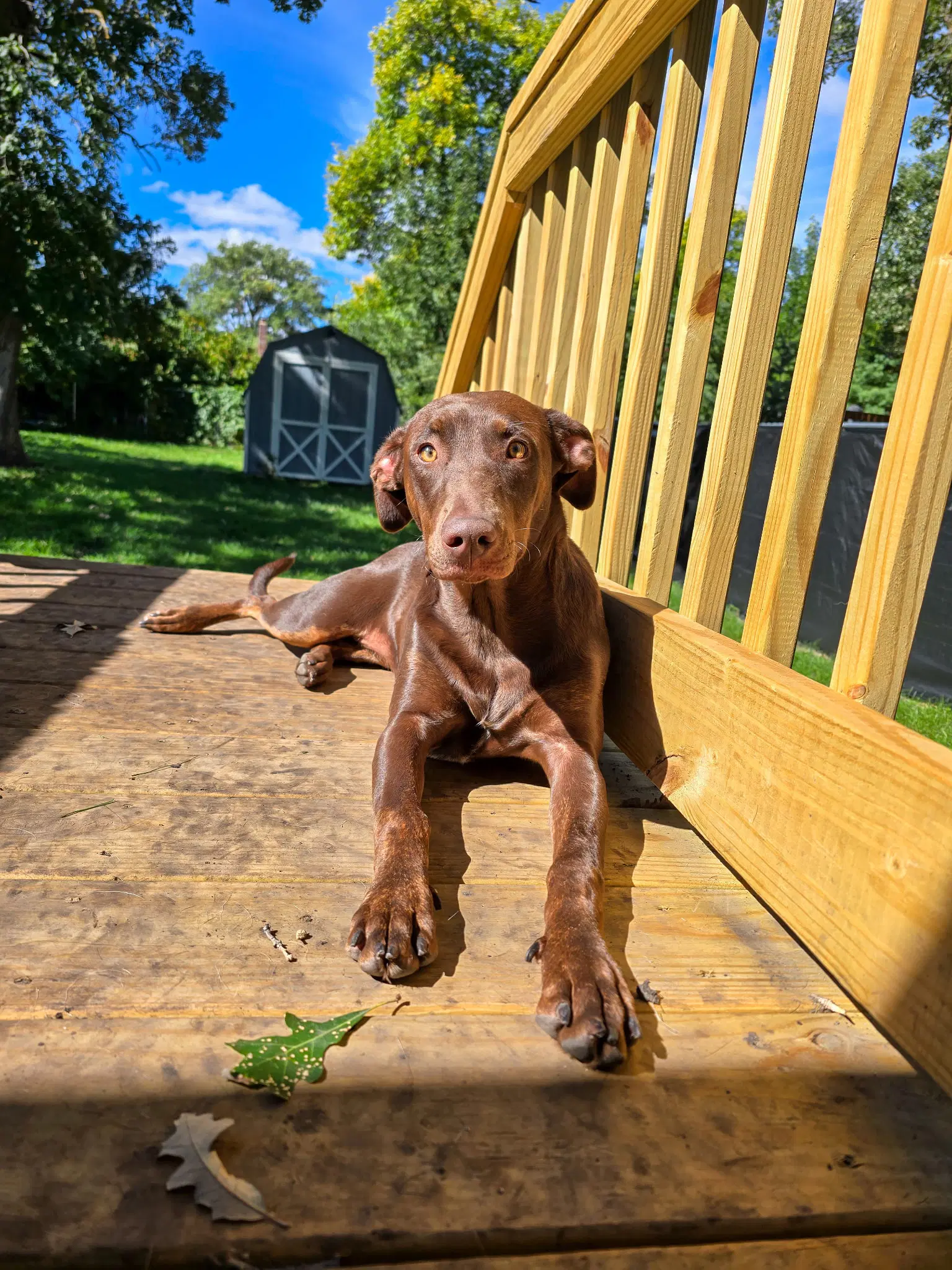 Sally image 2