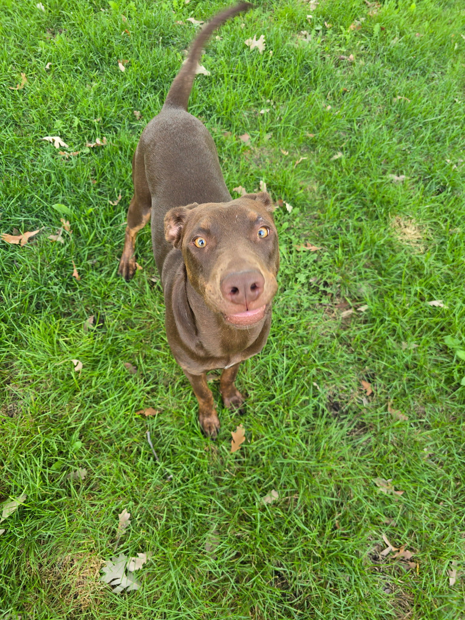 Sally, photo 9