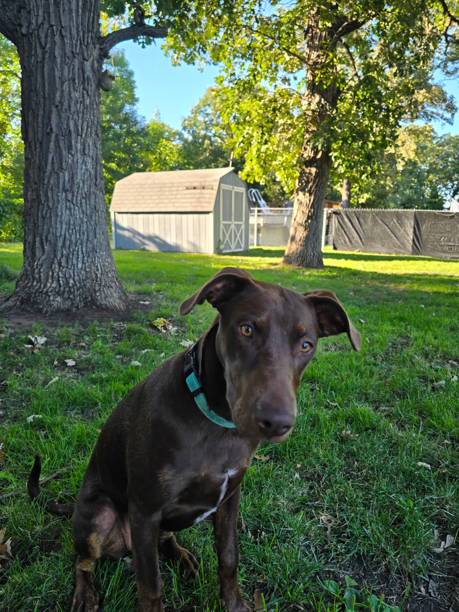 Sally image 1