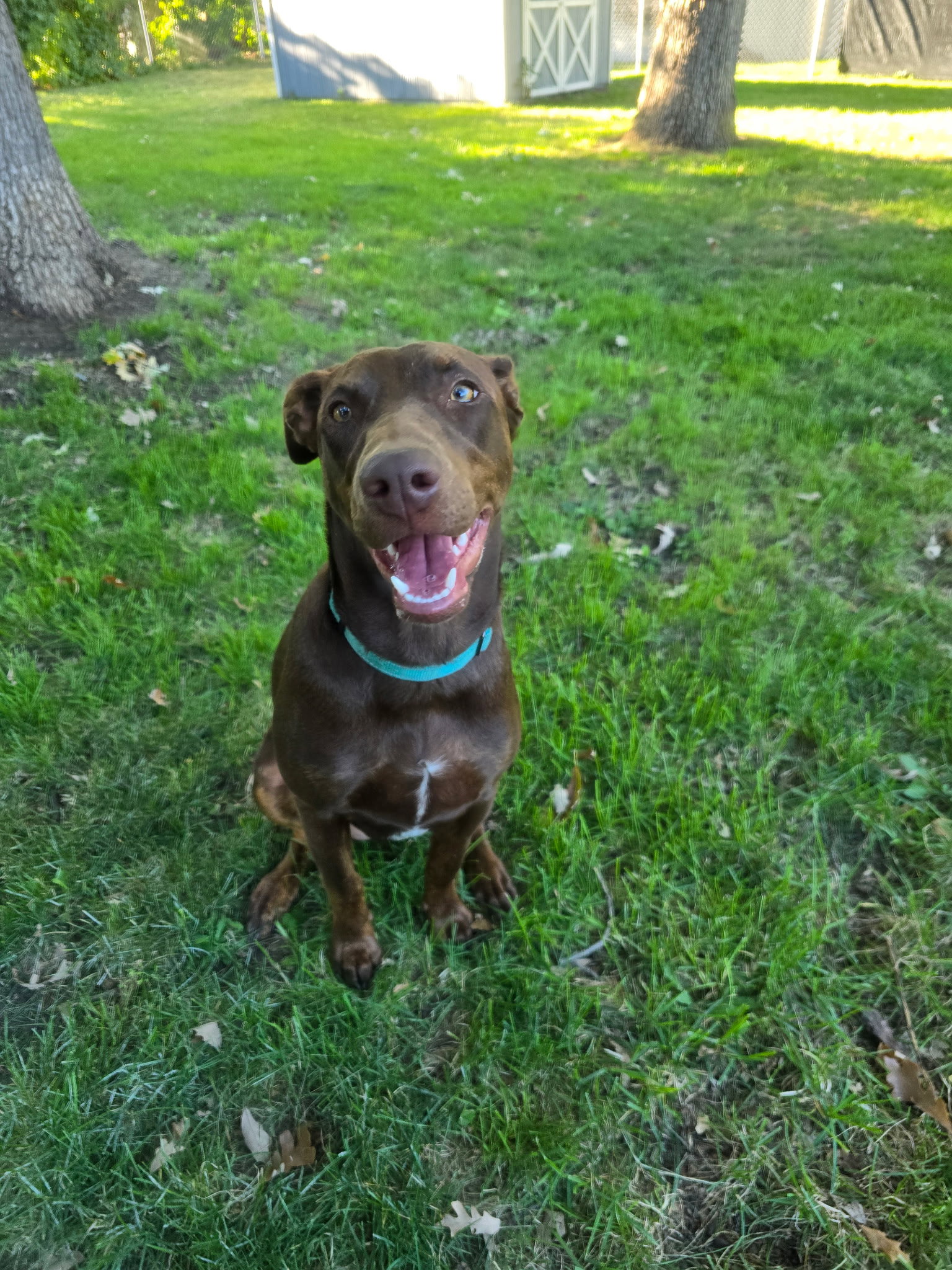 Sally, photo 4