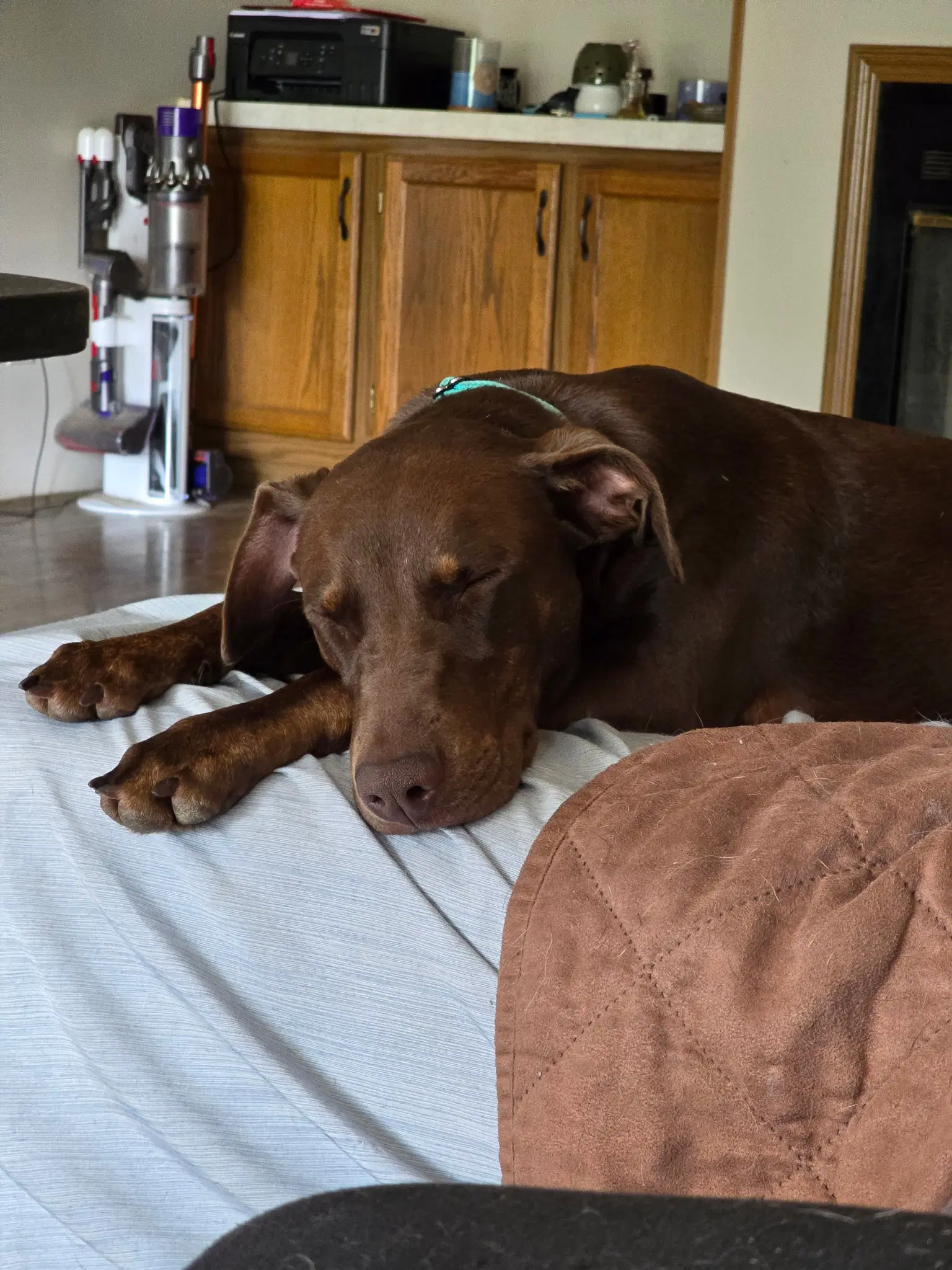 Sally image 3
