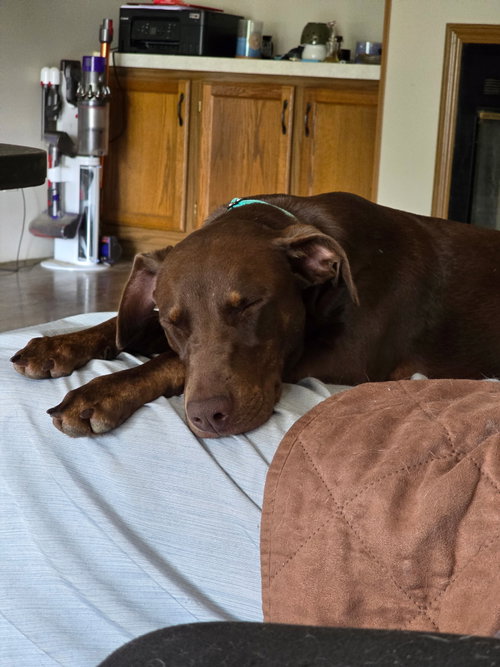 Photo 3 of Sally