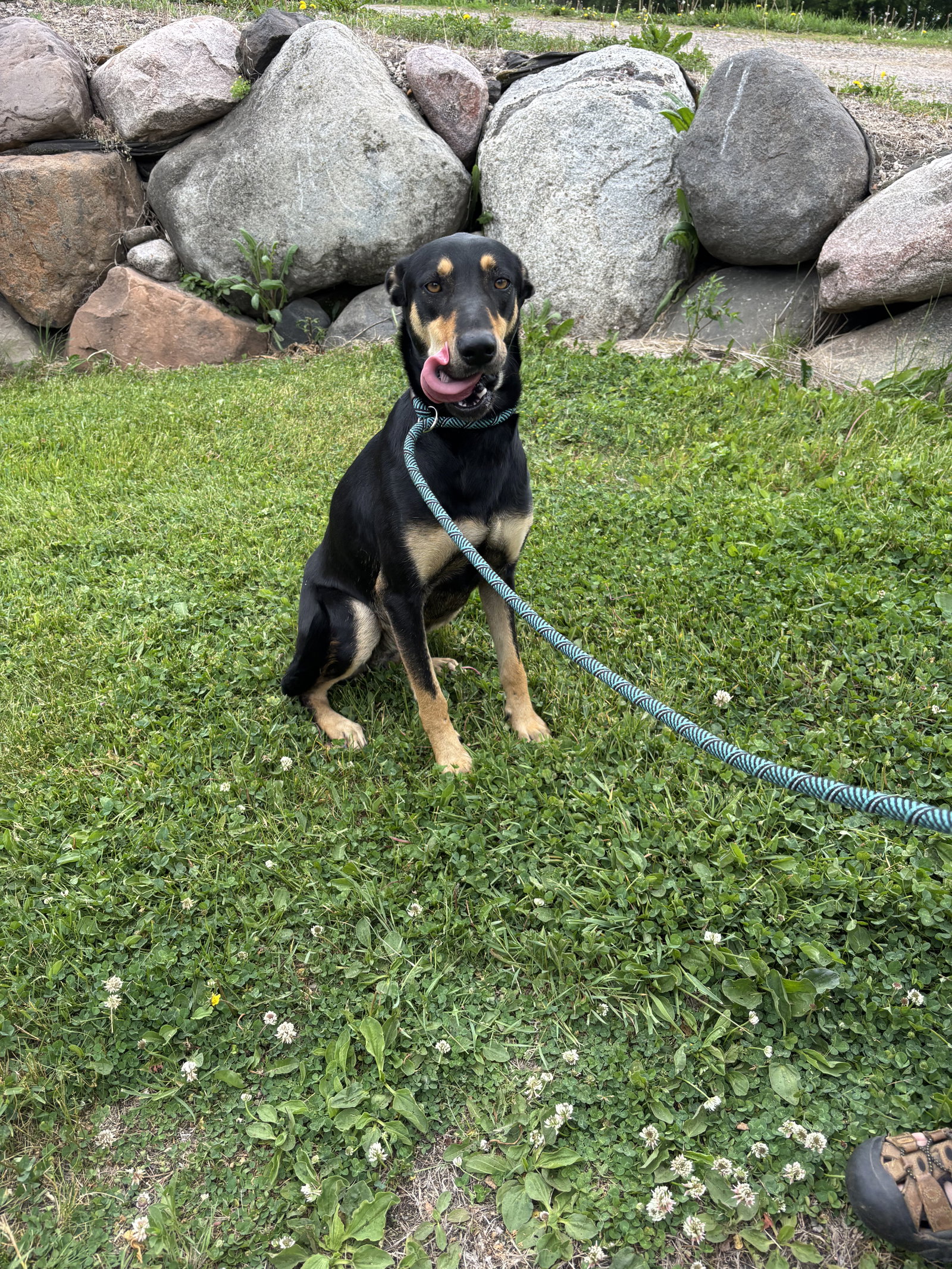 Mimi