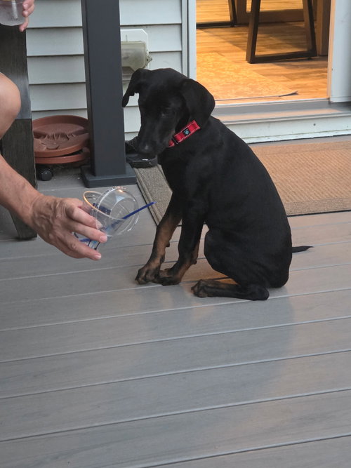 Dash photo 1