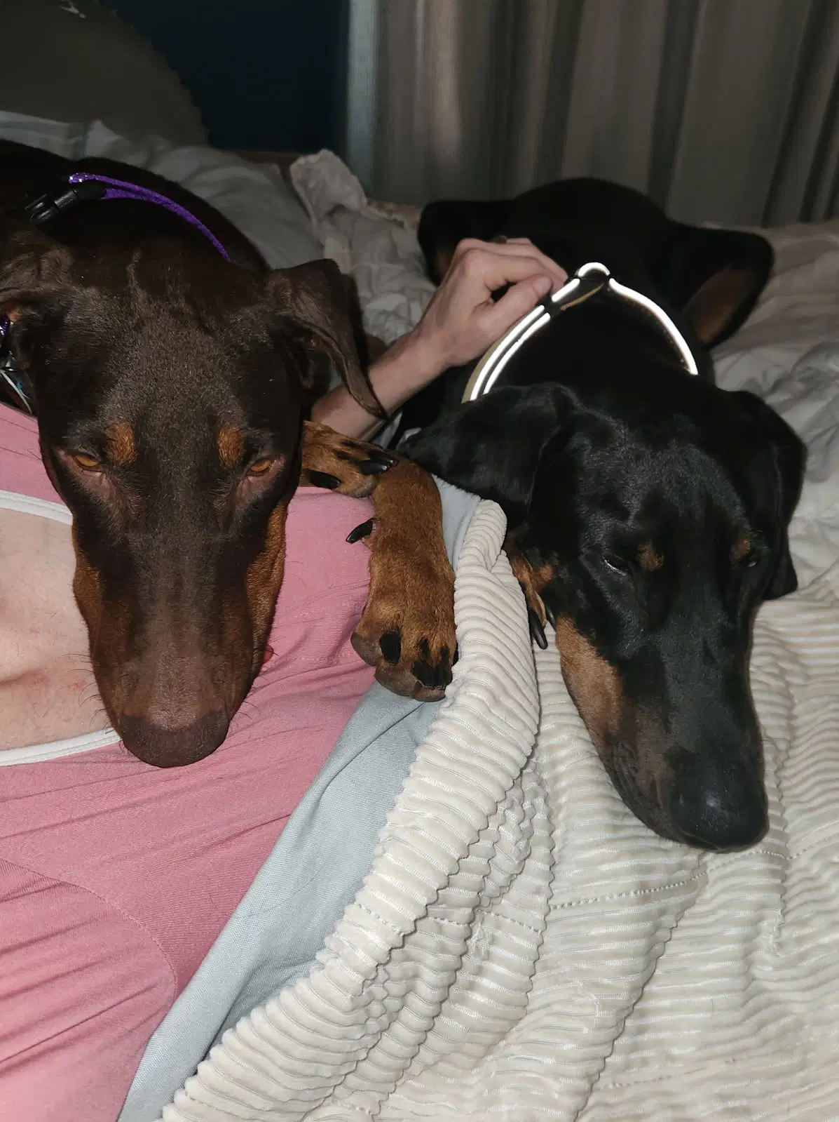 Freya image 4