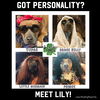 Lily