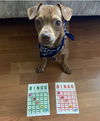 Bingo