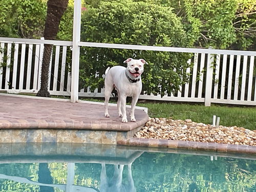 Titus