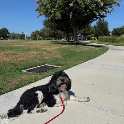 Sammie photo 3