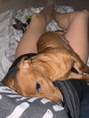 Milly Momma