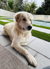 Chloe