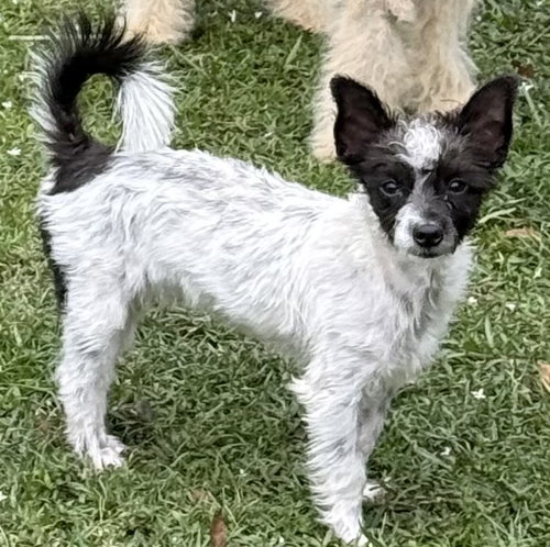 Photo of Terry