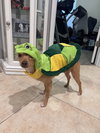 Bennie