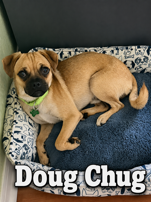 Doug Chug