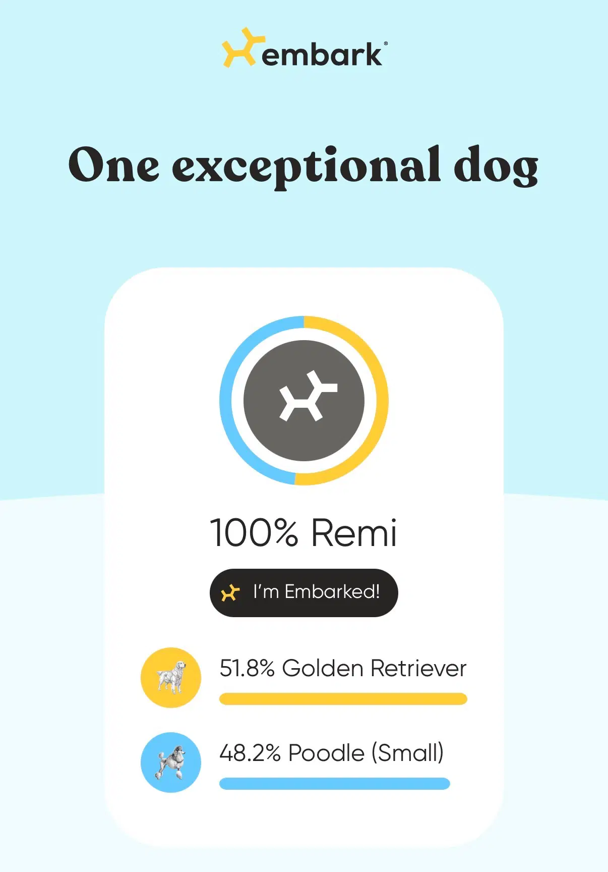 Remi image 4