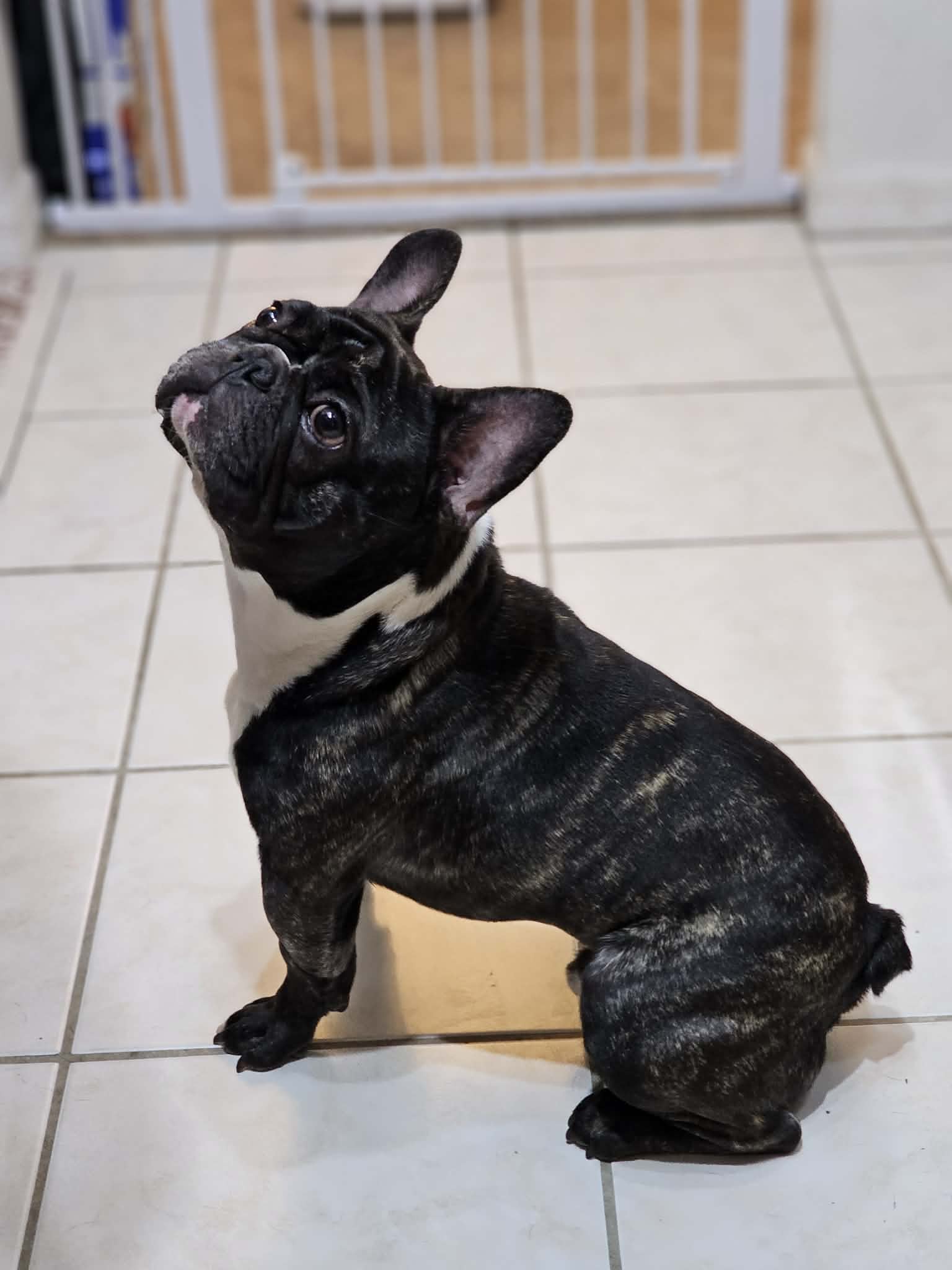 Petey French