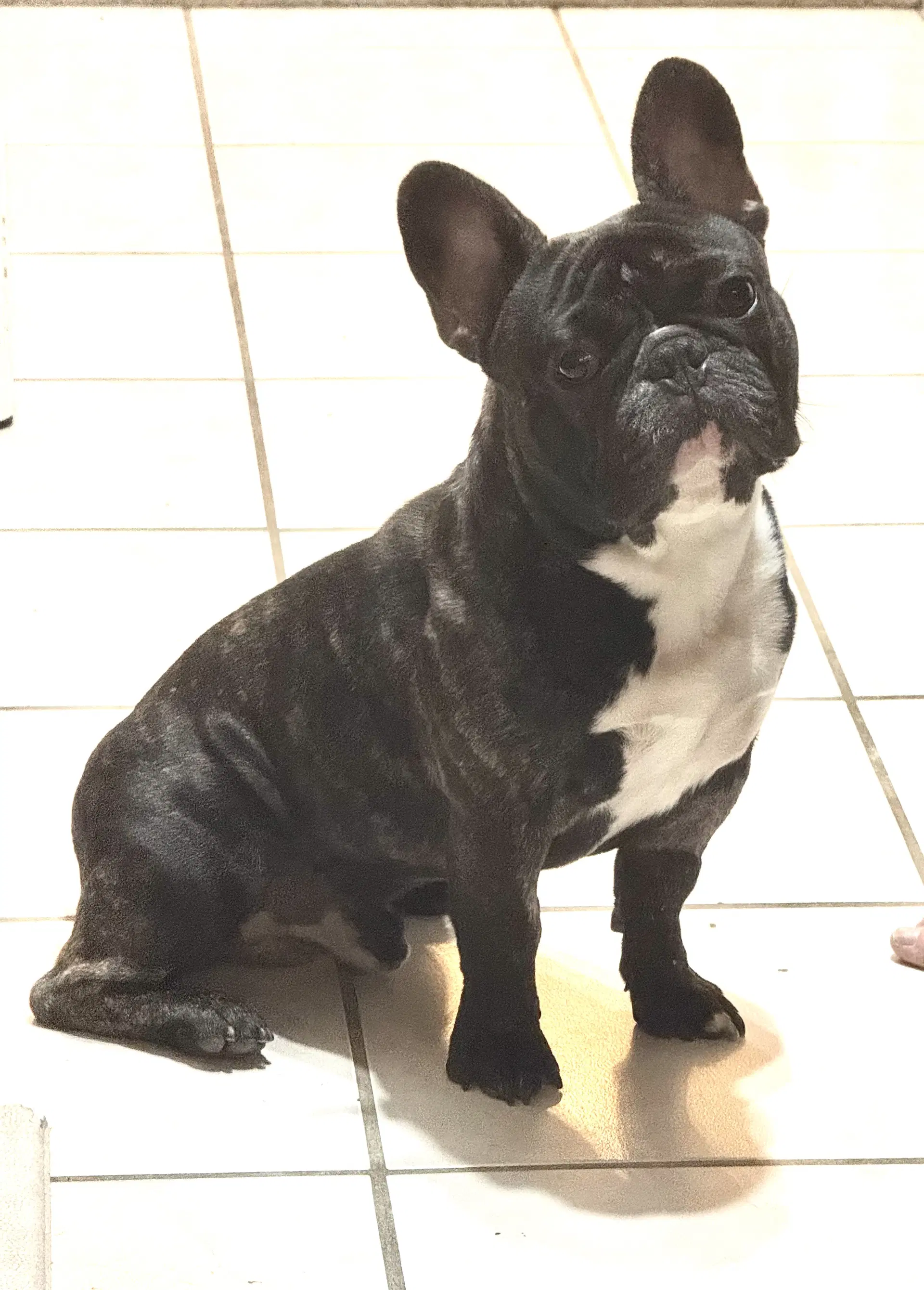 Petey French image 2