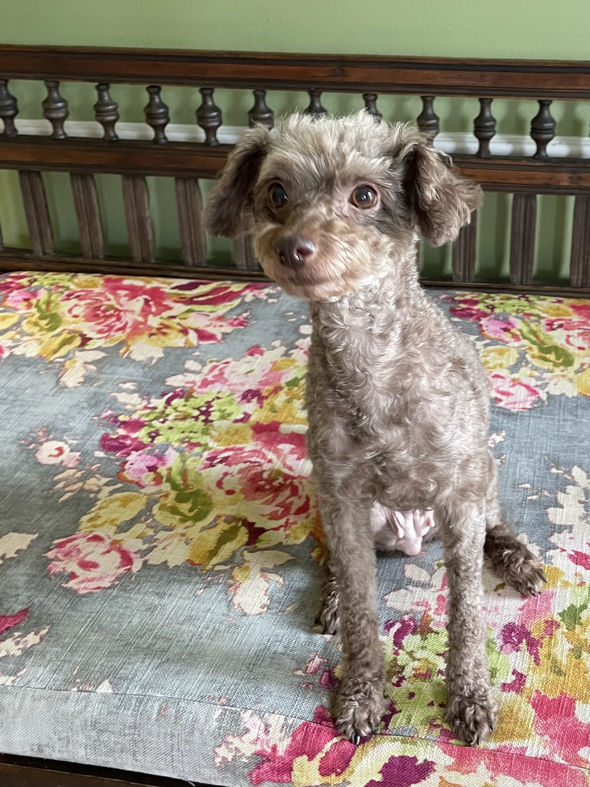 Twyla
