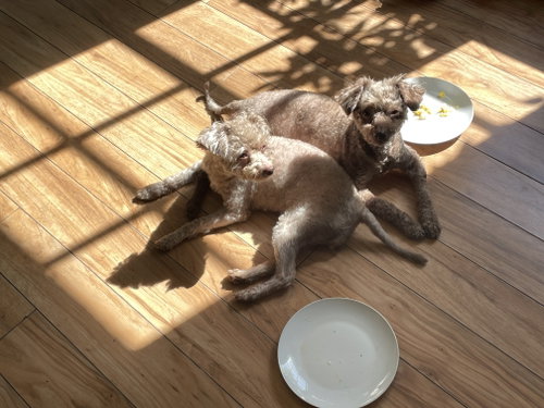 Twyla photo 6